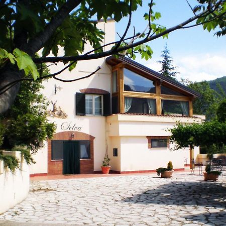 Agriturismo La Selva Rieti Exterior foto